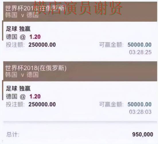 世界杯投注平台高手都在关注哪些细节技巧总结